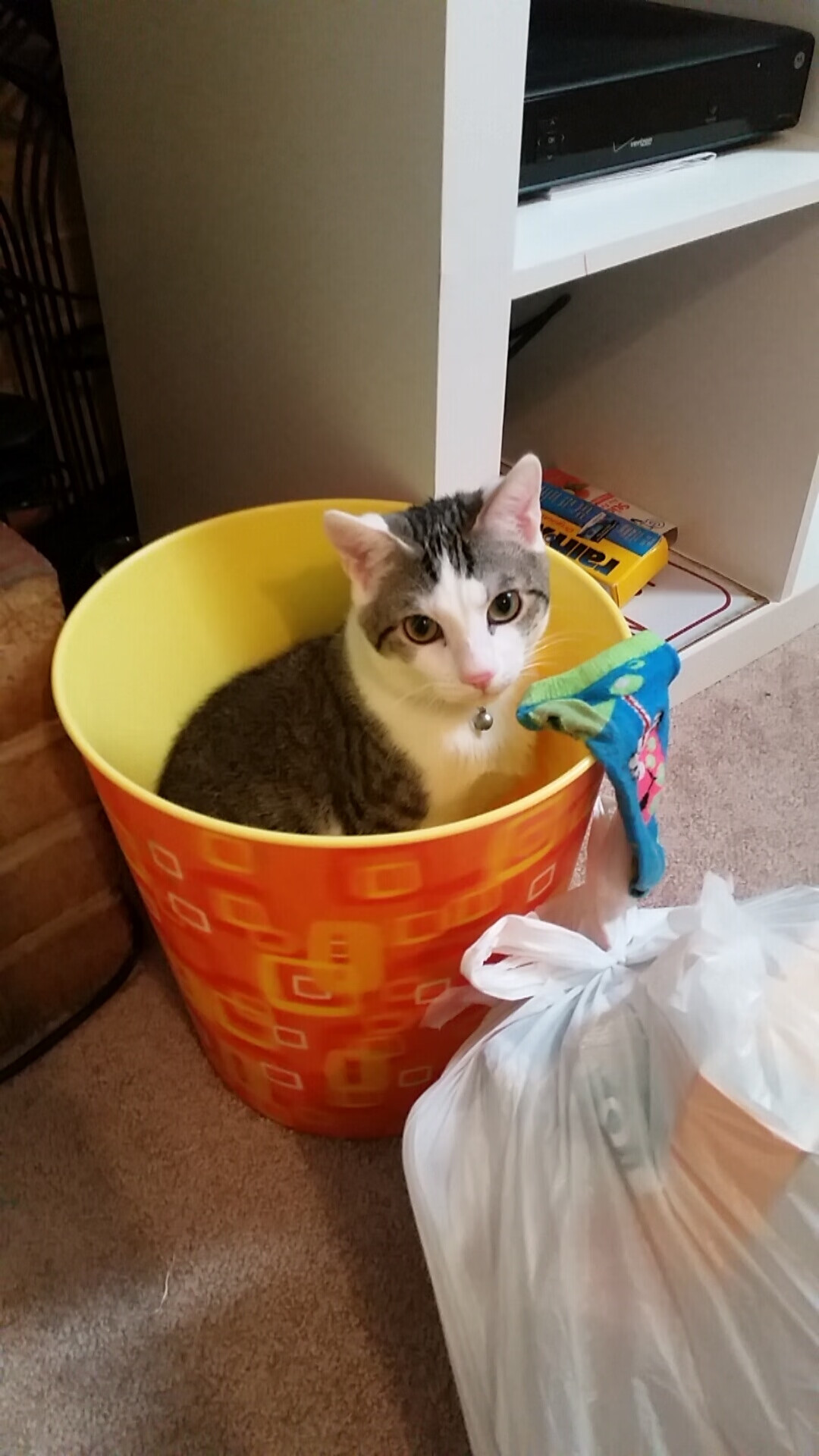 QQ飞车全新速度挑战赛激烈开战，极速飙车竞速体验，qq飞车手游qs极速