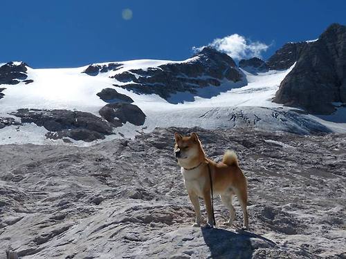 _城市夜空跑：点亮夜色，追逐梦想_，城市夜空高清壁纸