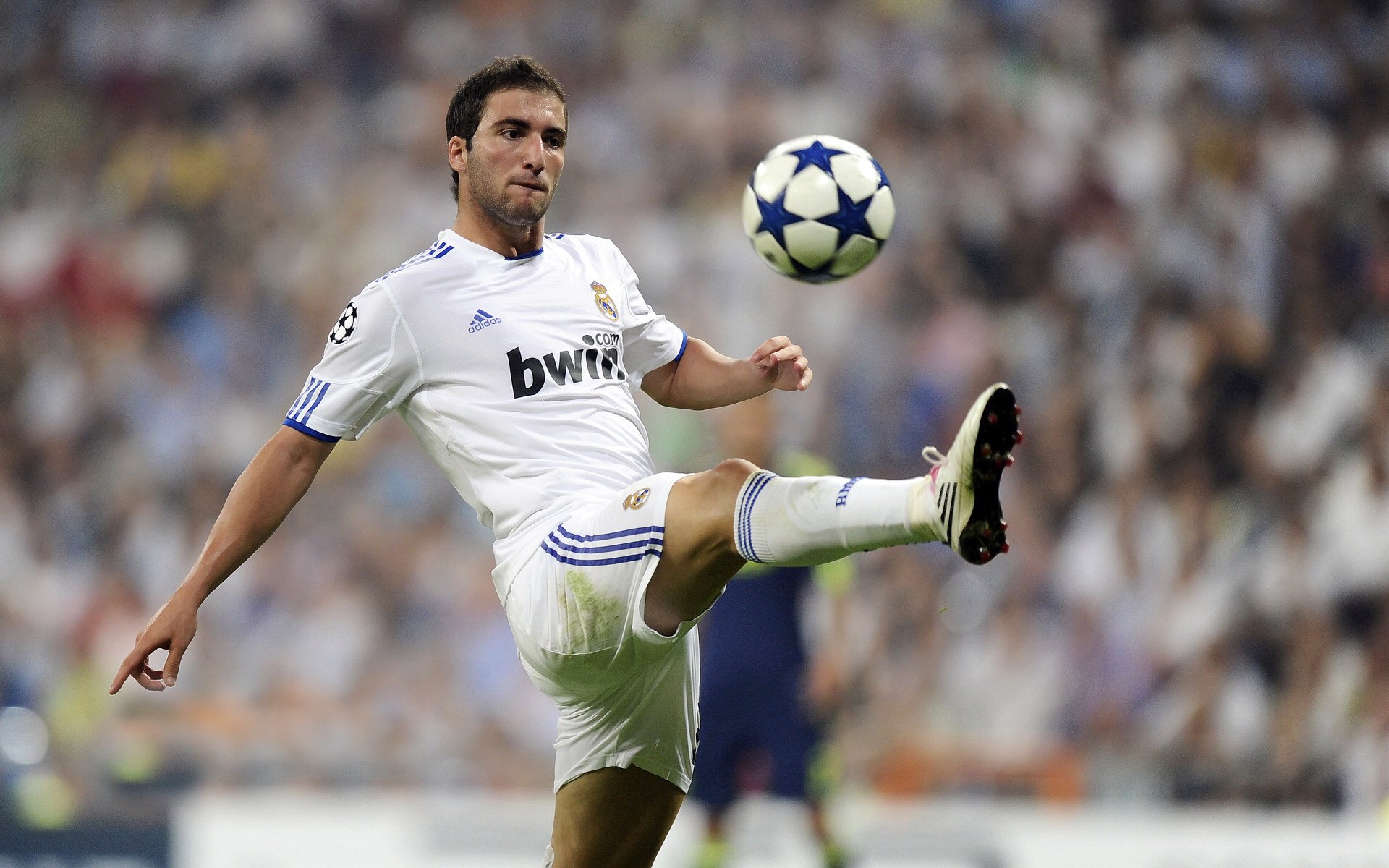 爱游戏官方网站-亚历克斯·格林伍德在橄榄球锦标赛中发挥出色，成为防守新星，亚历克斯-格林伍德